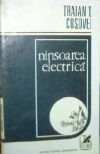 Ninsoarea electrică