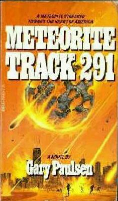 Meteorite Track 291 book cover