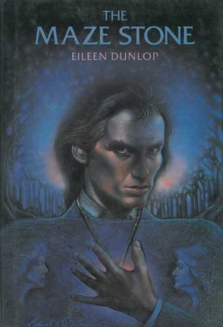 Maze Stone book cover