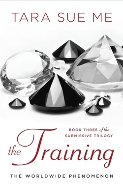 Submissive book cover 3