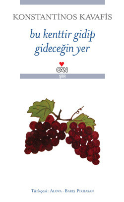 Bu Kenttir Gidip Gideceğin Yer book cover