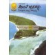 ಪೆಸಿಫಿಕ್ ದ್ವೀಪಗಳು ( ಮಿಲೇನಿಯಮ್, #3) | Pacific Dweepagalu