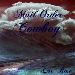 Mail Order Cowboy book cover