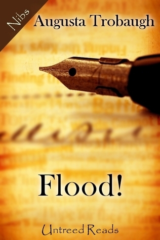 Flood! book cover