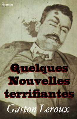 Quelques Nouvelles Terrifiantes book cover