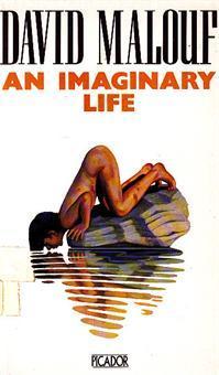An Imaginary Life
