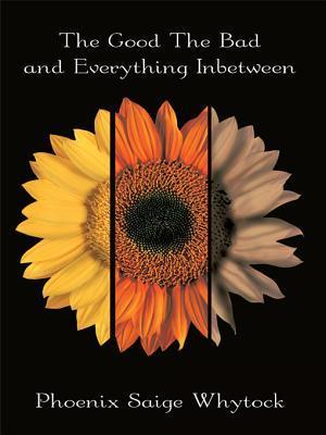 The Good the Bad and Everything Inbetween by Phoenix Saige Whytock ...