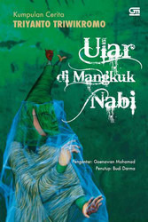 Ular di Mangkuk Nabi book cover
