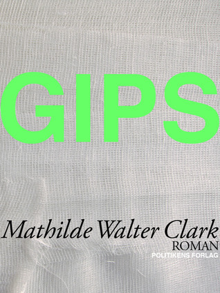 GIPS book cover