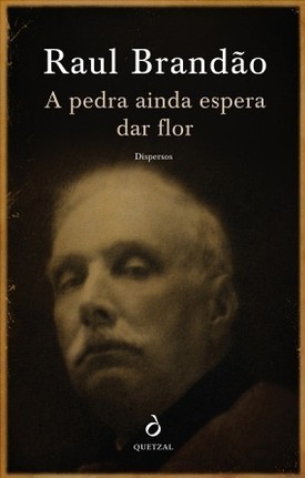 A Pedra Ainda Espera Dar Flor book cover