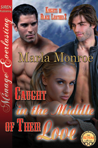 Knights in Black Leather book cover 2