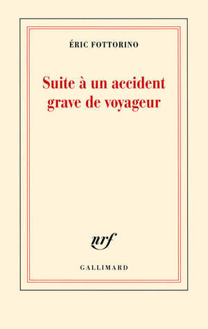 Suite à un accident grave de voyageur book cover