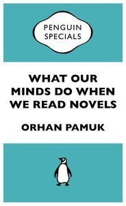 What Our Minds Do When We Read Novels book cover
