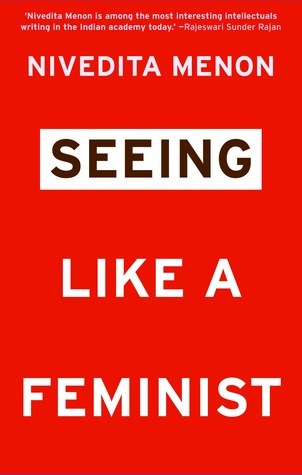 Seeing Like a Feminist