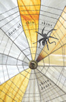 door of thin skins book cover
