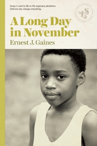 A Long Day in November book cover