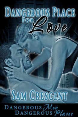 Dangerous Place For Love book cover