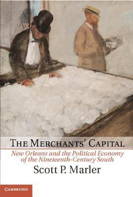 Cambridge Studies on the American South book cover 1