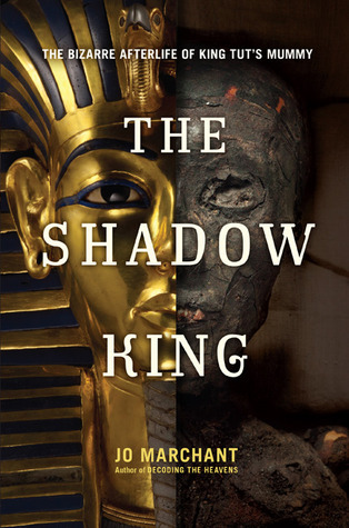 The Shadow King book cover