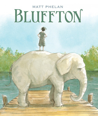 Bluffton book cover