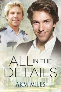 All in the Details book cover