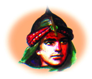 سلسلة فارس الأندلس كاملة book cover