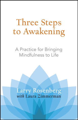 Three Steps to Awakening: A Practice for Bringing Mindfulness to Life