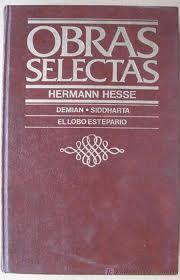 Box Hermann Hesse book cover