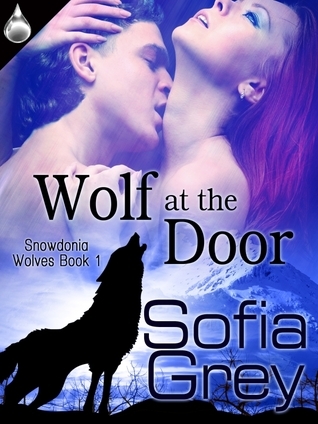 Wolf at the Door book cover