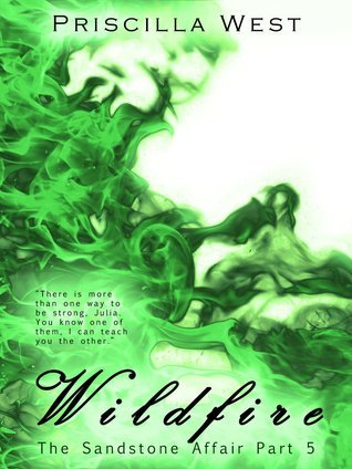 Wildfire book cover