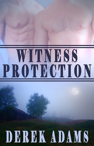 Witness Protection book cover