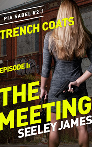 The Meeting cover