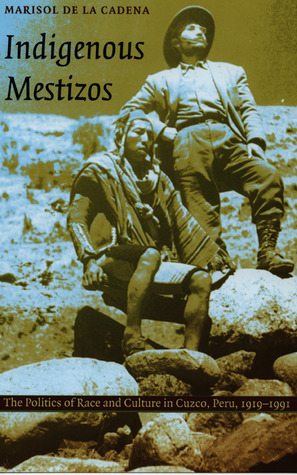 Indigenous Mestizos book cover