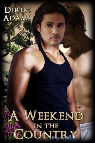 A Weekend in the Country book cover