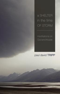 A Shelter in the Time of Storm book cover