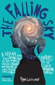 The Falling Sky book cover