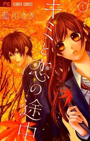 キミと恋の途中 [Kimi to Koi no Tochuu] book cover 1