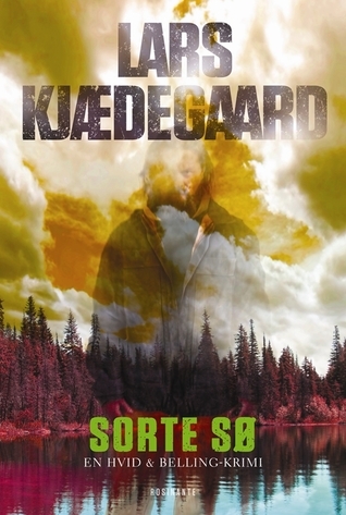 Sorte Sø book cover