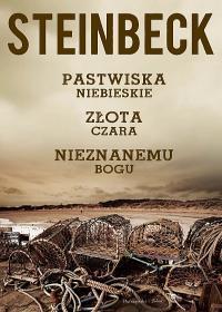 Pastwiska Niebieskie. Złota Czara. Nieznanemu Bogu book cover