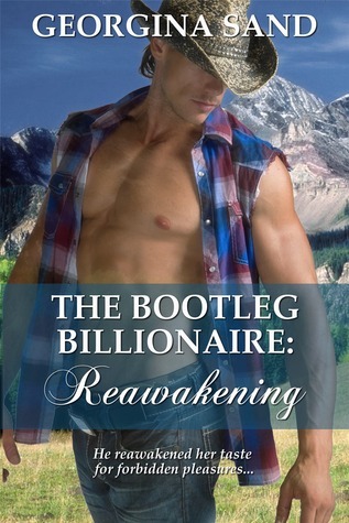 The Bootleg Billionaire: Reawakening
