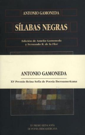 Sílabas negras book cover
