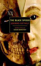 The Black Spider