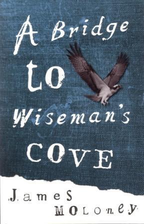 A Bridge To Wiseman's Cove