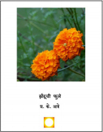 zenduchi phule