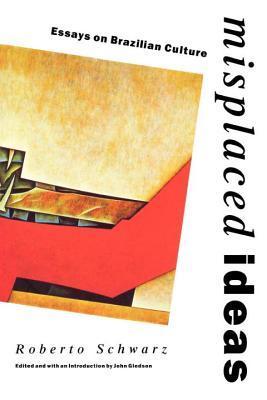 Misplaced Ideas book cover