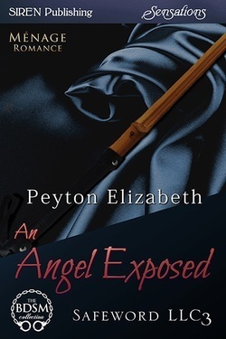 Safeword, LLC book cover 3