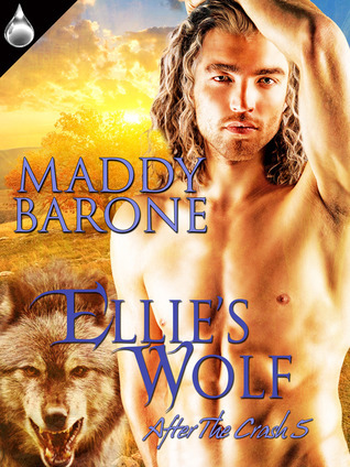 Ellie's Wolf book cover