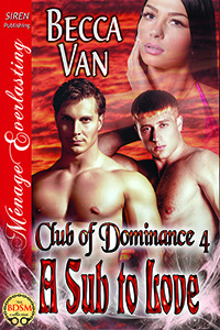 A Sub to Love book cover