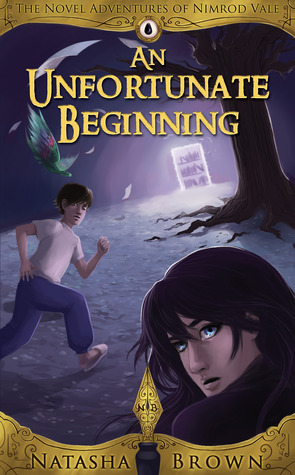 The Novel Adventures of Nimrod Vale book cover 1