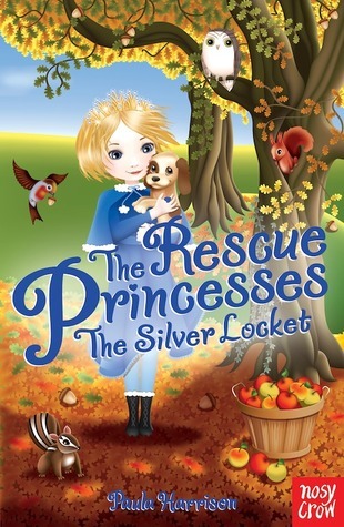 The Silver Locket book cover